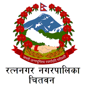 रत्ननगर नगरपालिका वडा ११, १२ र १५ को लापार्वाही