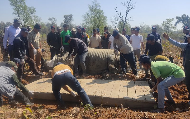 चितवन राष्ट्रिय निकुञ्जमा तीन गैंडा स्थानान्तरण