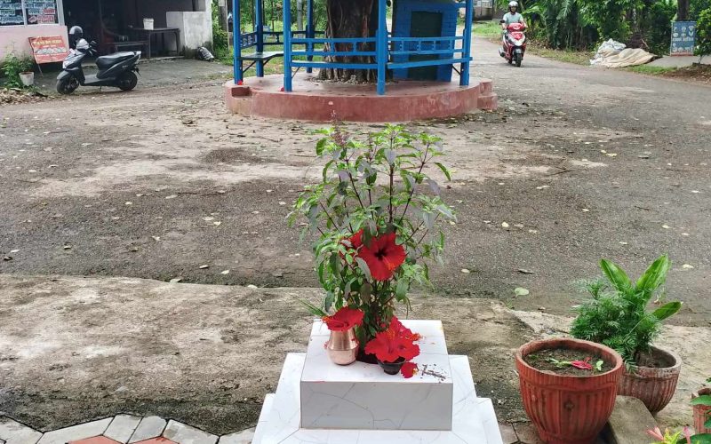 आज हरिशयनी एकादशी, घरघरमा तुलसी सारिँदै