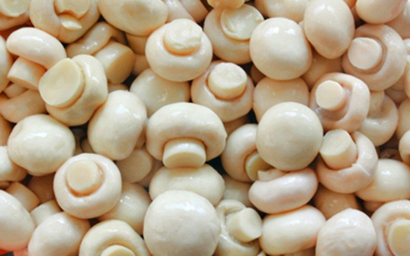 च्याउ खाँदा गुल्मीमा एकै परिवारका ८ जना बिरामी