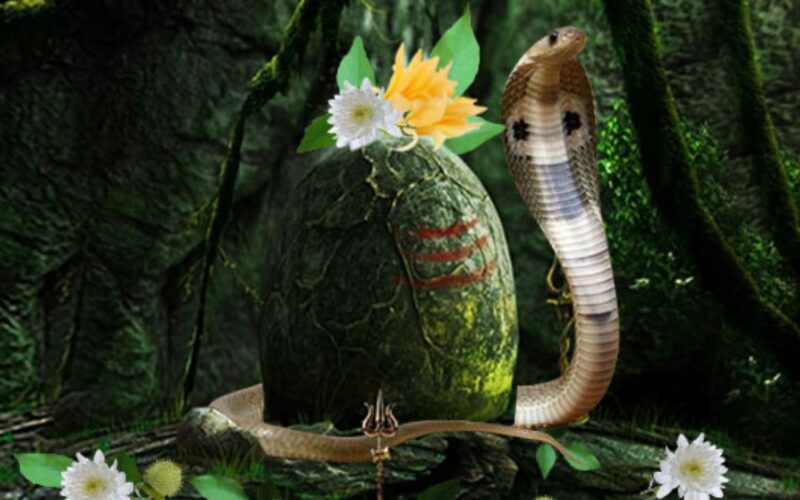 आज नाग पञ्चमी पर्व, परम्पराअनुसार नागको पूजाअर्चना गरी मनाइँदै