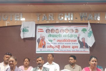 चितवनको रत्ननगर नगरपालिकाको नगर सभातिमा रामहरि न्यौपानेको उम्मेदवारी घोषणा